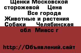 Щенки Московской сторожевой  › Цена ­ 25 000 - Все города Животные и растения » Собаки   . Челябинская обл.,Миасс г.